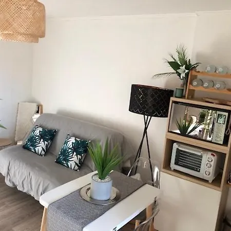 Lejlighed Studio Cosy Carnon-plage - Clim Et Wifi Proche Montpellier